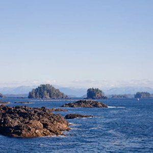 Meet your Posher, Myles